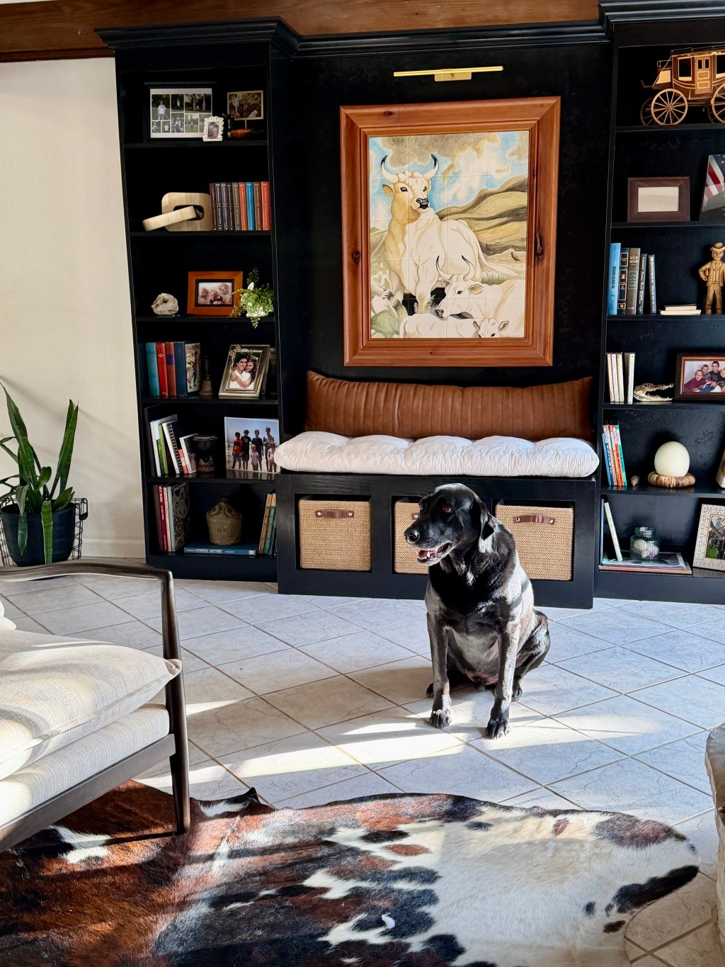 DIY Black Built-In Bookshelf Makeover | Before & After with Tricorn Black